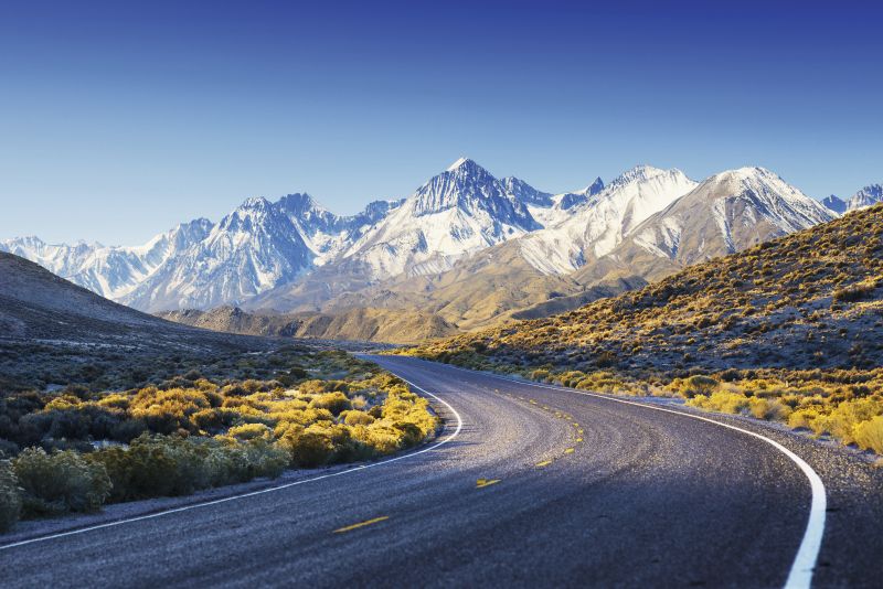 ATE: responsibilidad